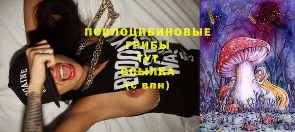 каннабис Шадринск