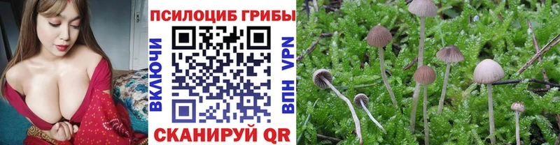 Галлюциногенные грибы ЛСД  Кольчугино 