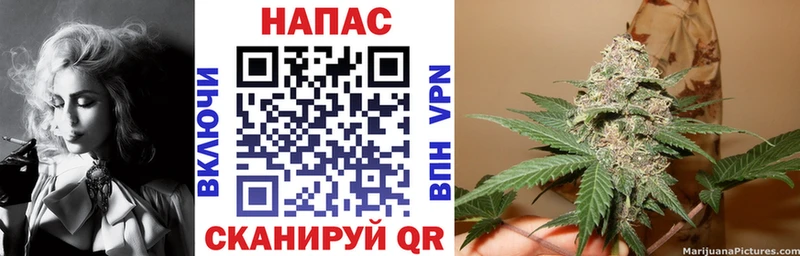 Шишки марихуана гибрид Кольчугино